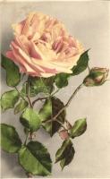 Rose flower, Martin Rommel & Co. Hofkunstanstalt No. 633