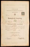 1913 Bp., A M. Kir. Állami Mechanikai és Órásipari Szakiskola által kiadott "dinamogépkezelői" bizonyítvány