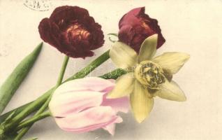 Crysanths and Tulip flowers, Martin Rommel & Co. Hofkunstanstalt No. 613 (EB)
