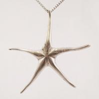 Ezüst nyaklánc medállal, Ag., nettó: 11,3gr., jelzett, 54cm /Silver necklace with pendant, Ag, net. ...