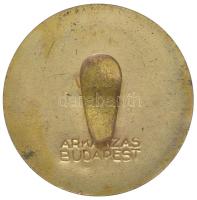 ~1930. "Vármegyék és Városok Országos Mentőegyesülete - Budapest" aranyozott, zománcozott ...