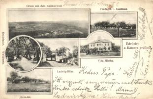 Budapest XI. Kamaraerdő, vendéglő, Villa Márta, Józsa lak, Ludwig-Höhe