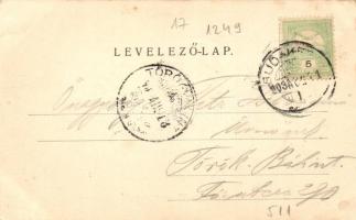 Budakeszi, Látkép, kiadja Stern Jakab