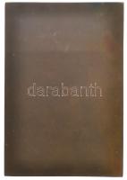 Ausztria 1900. "Ferenc József" egyoldalas Br plakett. Szign.: Rudolf Marschall (94x65mm) T...