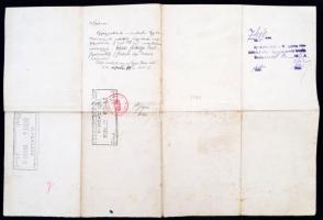 1925 Bírói és ügyvédi vizsga bizonyítvány. Hátoldalán a miskolci ügyvédi kamara bejegyző határozatáv...