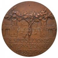 Olaszország 1906. "Milánói Világkiállítás 1906" Br emlékérem. Szign.: Giannino / S. Johnso...