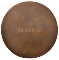 Kelemen Kristóf (1922-2001) 1992. "Bencze Miklós 1911-1992" Br emlékplakett (107mm) T:1-
...