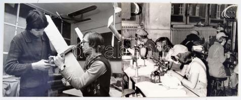 cca 1970-80 Gyakorlati munka különböző középiskolákban, fotók, egy részük az iskola pecsétjével jelz...