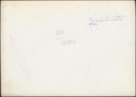 cca 1970-1980 Péceli Fogyasztási Szövetkezet áruházbelső, 3 db pecséttel jelzett fotó, 13x18 cm