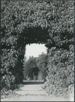 Vida András: Szigligeti életképek, 3 db fotó, pecséttel jelzett, 13x18 cm