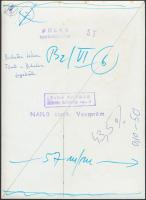 Vida András: Tömbvágás a Balaton jegéből, pecséttel jelzett, feliratozott fotó, 18x13 cm