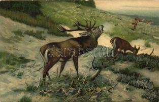 Herausforderung / challenging cry of a stag, deer, Stengel & Co. No. 47004., litho, s: C. Drathmann