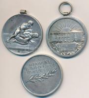 3db-os jelzett Ag díjérem tétel: Exner Károly (1850-1919) ~1930. "Magyarországi Testedző-Egyesü...