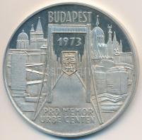 Csúcs Viktória (1934-) 1973. "Pest-Buda-Óbuda egyesítésének centenáriuma" Ag emlékérem (25.35g/0.800/42,5mm) T:PP felületi karc