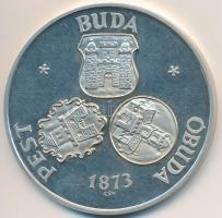 Csúcs Viktória (1934-) 1973. "Pest-Buda-Óbuda egyesítésének centenáriuma" Ag emlékérem (25...