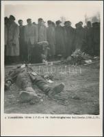 1956 Szabadságharcos holteste, feliratozott fotó Budapestről, 24x18cm