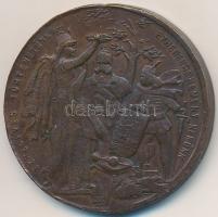 1896. "Ezredéves Történetünk Ezredekre Remény Nekünk" millenniumi Br emlékérem "Steiner Ármin" gyártói jelzésével (32,5mm) T:2-,3 ph.