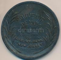 Amerikai Egyesült Államok / New Jersey 1915. "Lucky Penny" fém szerencsét hozó érem (72mm)...