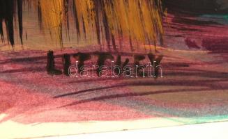 Litkey jelzéssel: Utca részlet. Olaj, karton, 29×39 cm