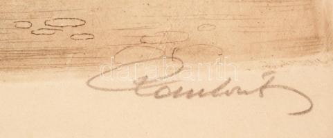 Paulovits Pál (1892-1975): Utolsó levelek, Tabán. Színezett rézkarc, papír. Jelzett. 36x28 cm Üvegez...