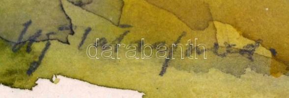 Udvary Pál (1900-1987): Újtátrafüred (Nový Smokovec). Akvarell, papír, jelzett, üvegezett keretben, ...