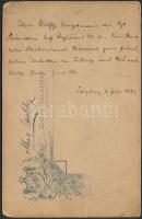 1897 Ellis Wolff(1856-1938) dán kapitány, kamarás Kratochwill Károlynak ajánlott fotója, hátoldalon ...