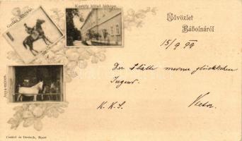 1899 Bábolna, Kastély, Gazlán csikós-ló, Anya-ménes, kiadja Czettel és Deutsch, floral (vágott / cut)