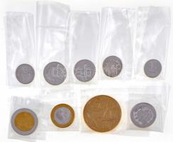 2004. 1c-5EUR Ag "Euro pénzérmék prototipusa" eredeti fóliacsomagolásban, dísztokkal és sz...