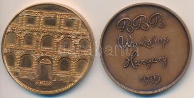 Fritz Mihály (1947-)  DN "Csongrád Megyei Mezőgazdasági Szövetkezetek Szövetsége Szeged" B...