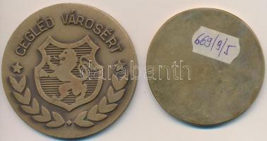 Brém Ferenc (1927-1988) DN "Nagykőrös" egyoldalas Br érem (51,5mm) + Garamkeszi János (193...