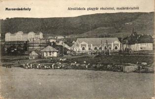 Marosvásárhely, Targu Mures; Alreáliskola, gázgyár, kiadja Porjes S. Sándor / school, gas factory (r)