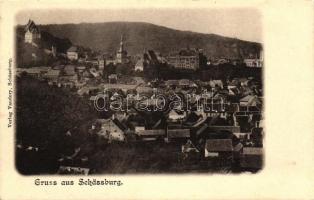 Segesvár, Sighisoara; látkép, kiadja Vandory / general view