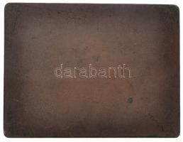 Betlen Gyula (1879-1963) 1910. "Magyar Királyi Ludovika Akadémia" Br plakett (63x48mmmm) T...