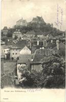 Segesvár, Sighisoara; látkép / general view (Rb)