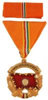 1987. "A Haza Szolgálatáért Érdemérem" arany fokozata, zománcozott, aranyozott fém kitünte...