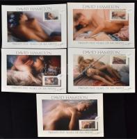 David Hamilton (1933-): Twenty-five years of an artist. 10 db színes erotikus fotó telefonkártyával,...