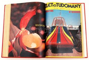 1979-1981, 1983-1985 Az Élet és Tudomány több évfolyamának számai könyvbe kötve, 8 db