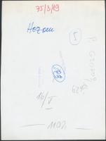 cca 1975 "Hozom..." Vadászkutya zsákmánnyal a nádasban. Bojár Sándor felvétele. Sajtófotó,...