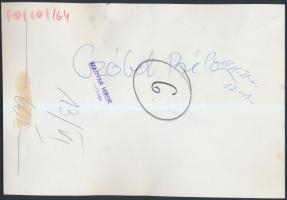 cca 1970 Czóbel Béla portréja. Sajtófotó, hátoldalán pecséttel, feliratozva. 22x15 cm
