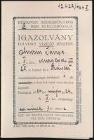 1934 Igazolvány fölvonó vezető részére, Bp., Székesfőváros X. ker. elüljárósága, arcképes, 12x8cm