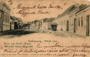 Szászrégen, Reghin; Dedrádi utca / street (fl)