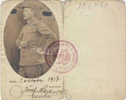 1917 Dunai folyami flottila igazolvány "FLUSSMINEN ABTEILUNG DER KUK DONAUFLOTILLE"