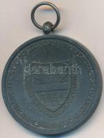 1940. "Erdélyi részek felszabadulásának emlékére" cink emlékérem mellszalag nélkül. Szign....