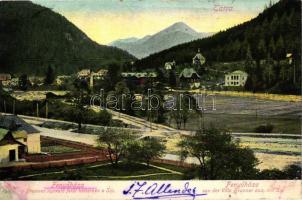 Fenyőháza, Lubochna; a Brunner nyaraló felől, a háttérben a Sip hegy, kiadja Feitzinger Ede No. 883 / view from the villa Brunner, Mt. Sip