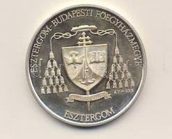 Modern Ag 31,37g "Esztergom" emlékérem T:PP