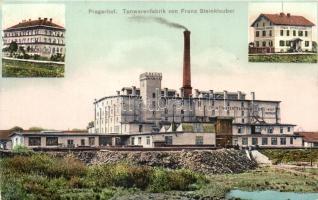 Pragersko, Pragerhof; Tonwarenfabrik von Franz Steinklauber / Franz Steinklauber's pottery factory (cut)