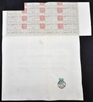 Budapest 1876. "A Központi Ipartársulati Hitelintézet" részvénye 100Ft-ról szelvényekkel, ...