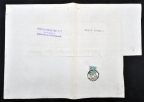 Budapest 1876. "A Központi Ipartársulati Hitelintézet" részvénye 100Ft-ról szelvényekkel, ...