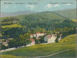 Báznafürdő, Baile Bazna; látkép, kihajtható lap / general view, folding card