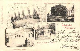 1899 Nagykanizsa-Palin; méntelep, Nagy Gesztenye fa az Ottó ligetben, Tiszti és állatorvosi lakás, Parancsnoki lakás, kiadja Ifj. Wajdits József; Art Nouveau, floral (EK)